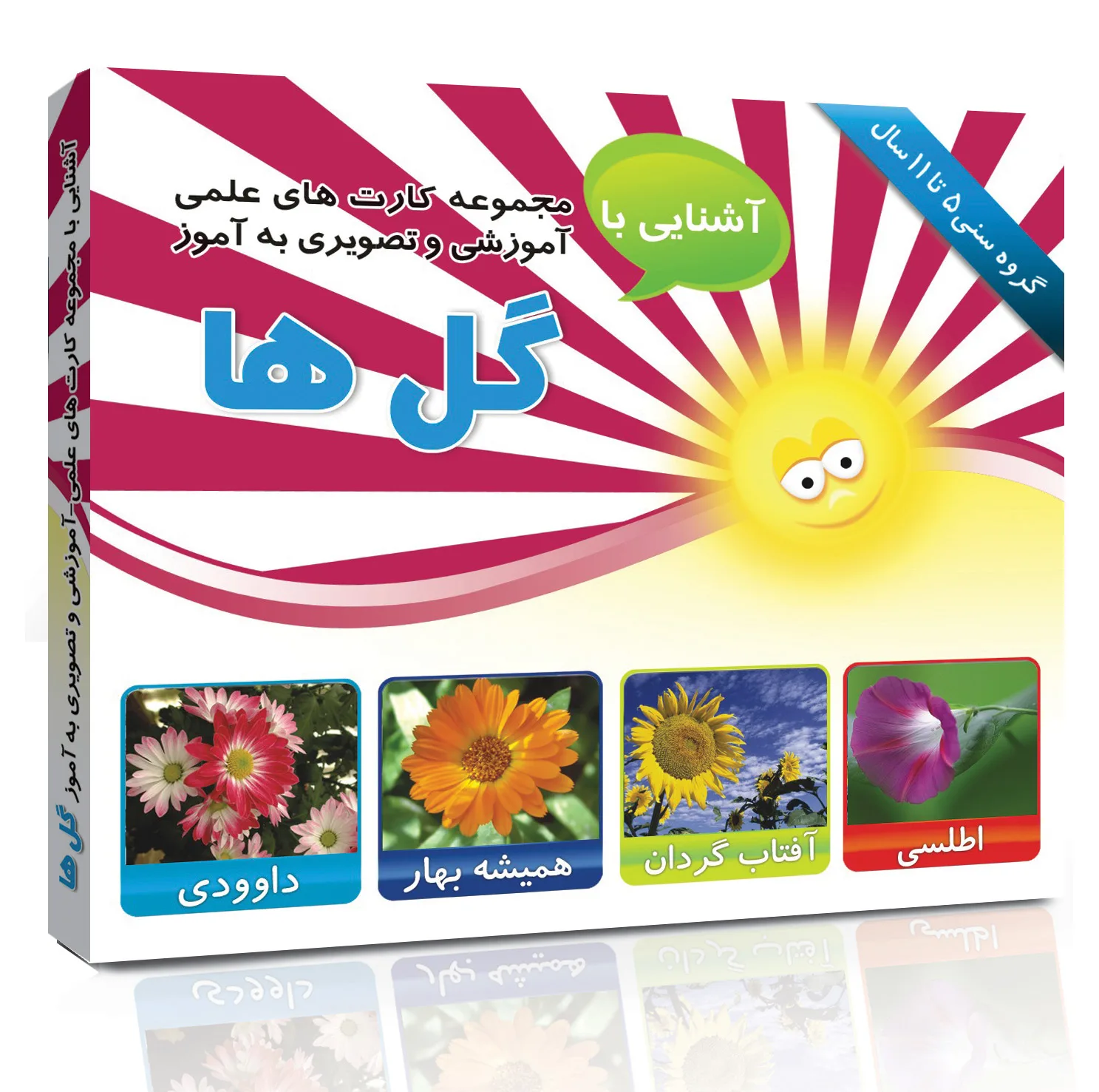 کارت های علمی آموزشی و تصویری مفهومی) 5 تا11 سال انتشارات امین فلش آذر مجموعه 15 عددی