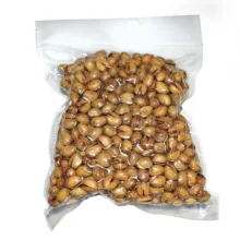پسته فندقی نمکین زعفرانی گهربد - 600 گرم