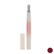 رژ لب مایع براق شیگلم مدل Berry Spritz شماره 29EE1601