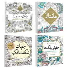 کتاب رنگ آمیزی سمفونی رنگ ها و ماندالا و جنگل سحر آمیز و جهان شگفت انگیز اثر جمعی از نویسندگان انتشارات سبزان 4 جلدی
