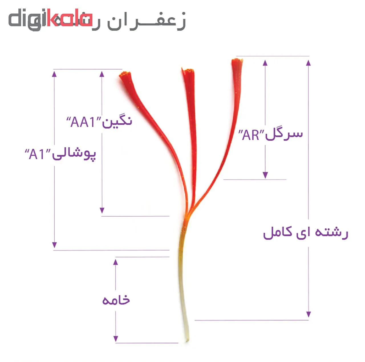 زعفران نگین نوین مقدار ۴.۶۰۸ گرم