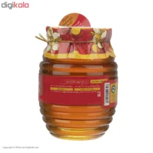 عسل ارگانیک کنار مدا - 500 گرم
