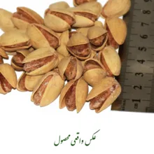 پسته اکبری نمکین زعفرانی گهربد - 800 گرم