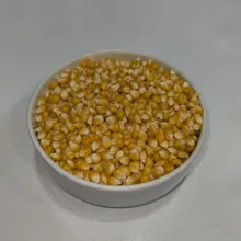 ذرت شمس - 1 کیلوگرم