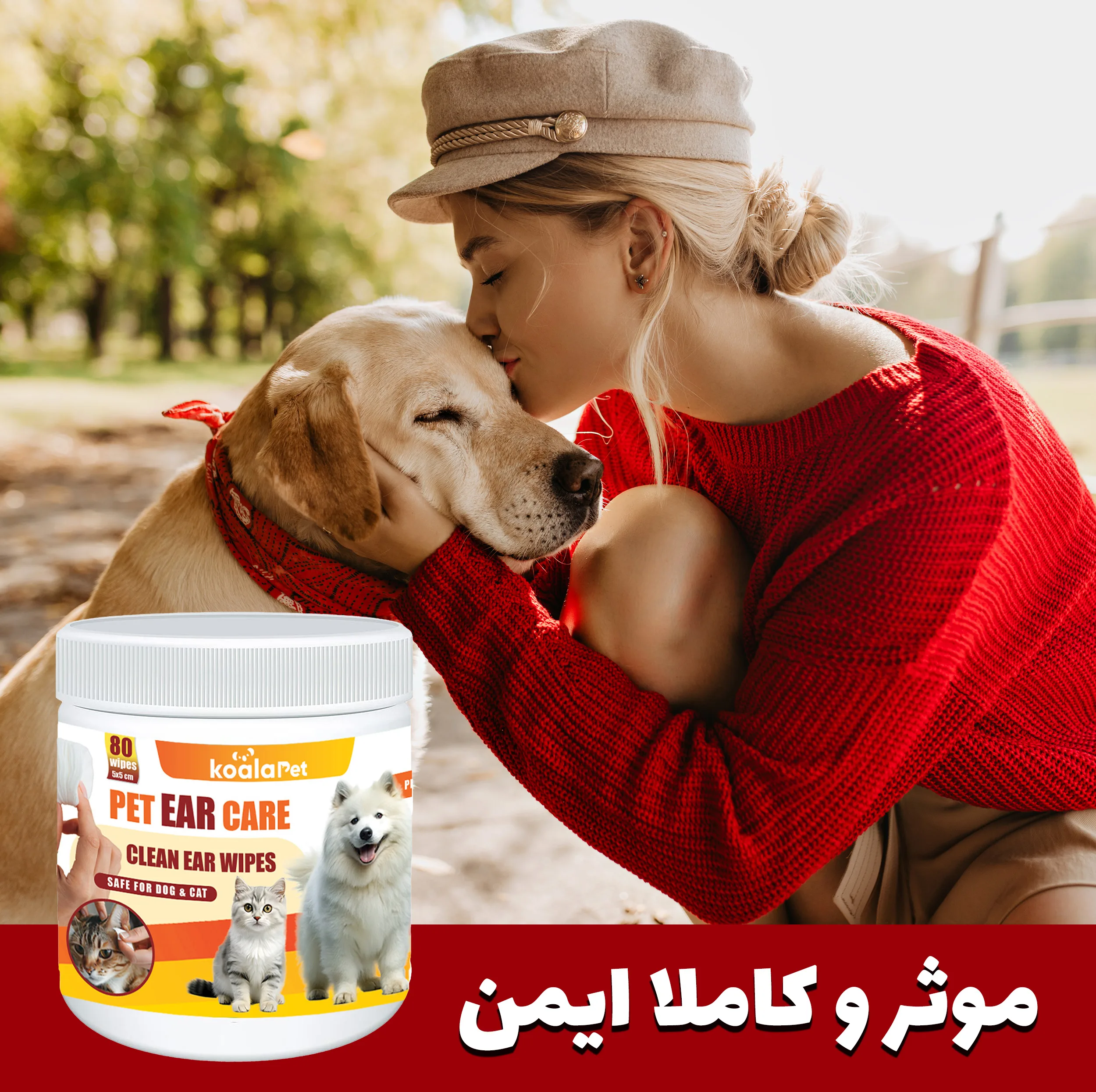 دستمال مرطوب سگ و گربه مخصوص گوش و اطراف چشم کوالاپت مدل  Wipes03 بسته دو عددی
