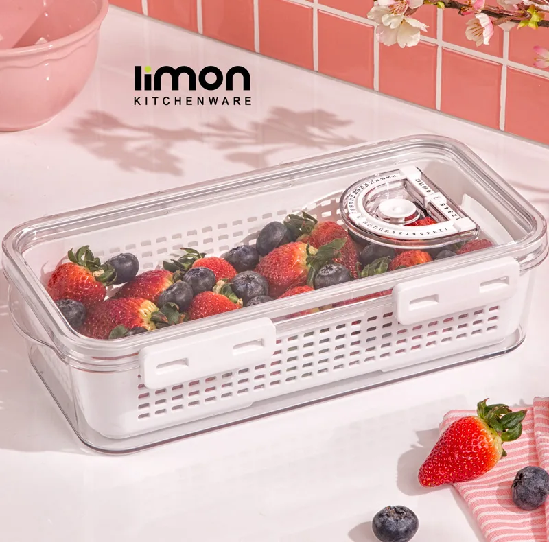 ظرف نگهدارنده لیمون مدل تاریخ دار کد DH2377