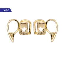 ابزار نمایشی برانت مدل روکش دندان خون آشام زیرکن کلاسیک