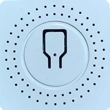 رله هوشمند دوکانال مدل :PZS-T10-2G