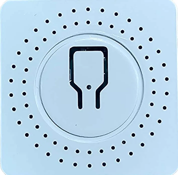 رله هوشمند دوکانال مدل :PZS-T10-2G