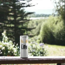 نوشابه انرژی زا بدون شکر لایف - 250 میلی لیتر بسته 12 عددی