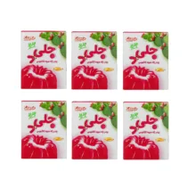 پودر ژله میوه کاکتوس دراژه – 100 گرم بسته 6 عددی