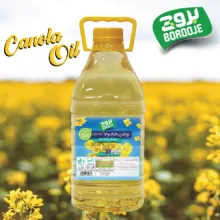 روغن مایع کانولا بروج - 3000 میلی لیتر