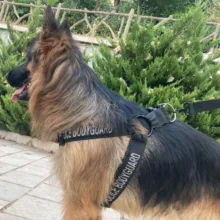 قلاده کتفی سگ Police مدل T9