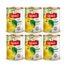 کمپوت سیب شهدین – 370 گرم بسته 6 عددی