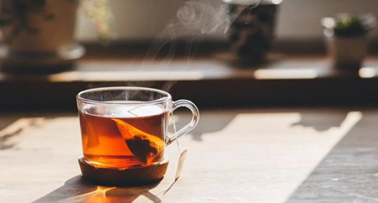 چای کیسه ای دو غزال مدل Ceylon بسته 100 عددی