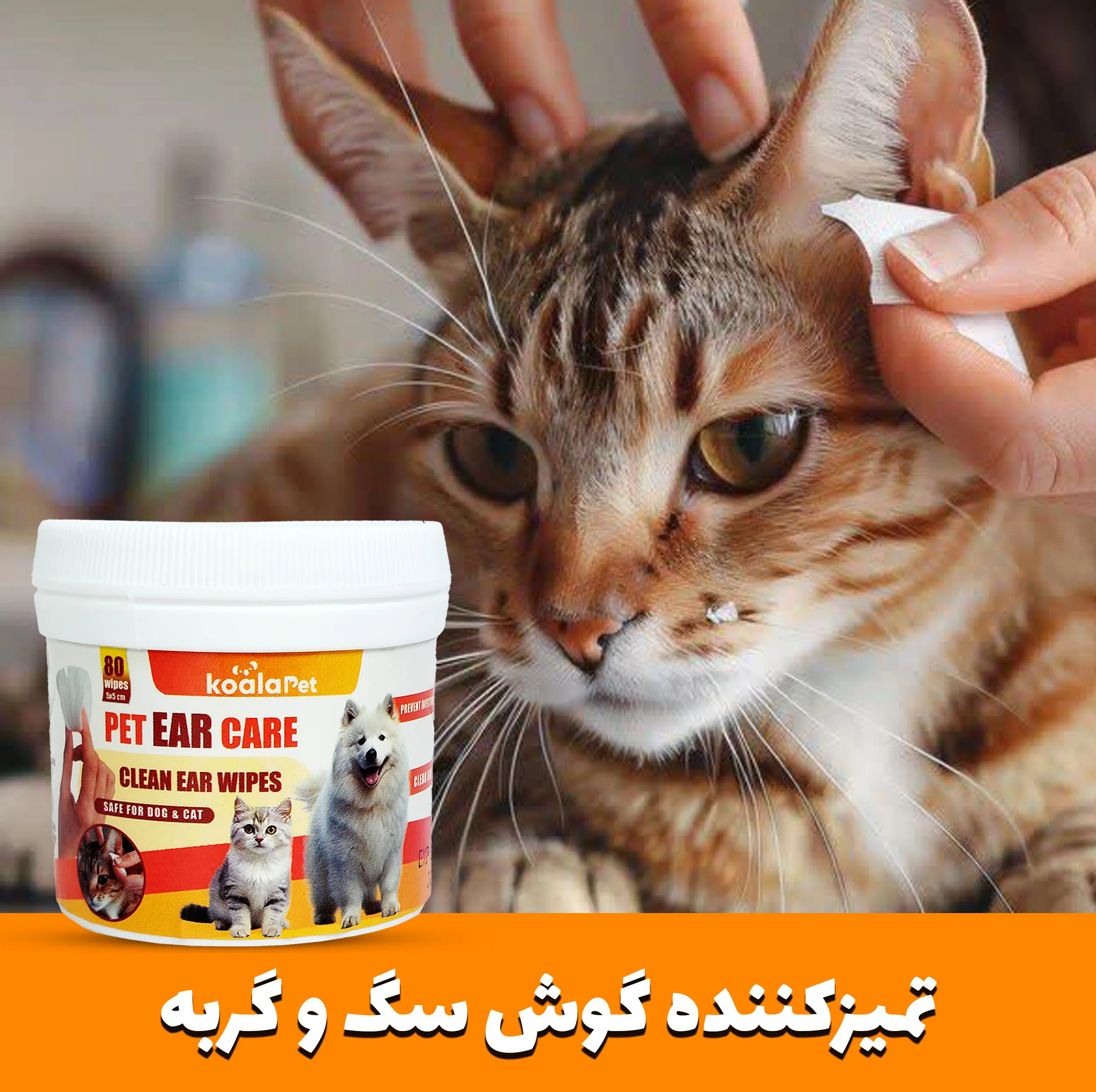 دستمال مرطوب سگ و گربه مخصوص گوش و اطراف چشم کوالاپت مدل  Wipes03 بسته دو عددی