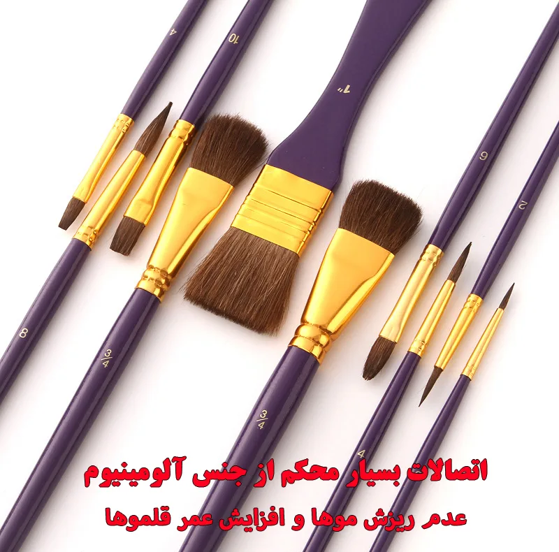 ست قلمو مدل Horse Hair مجموعه 10 عددی