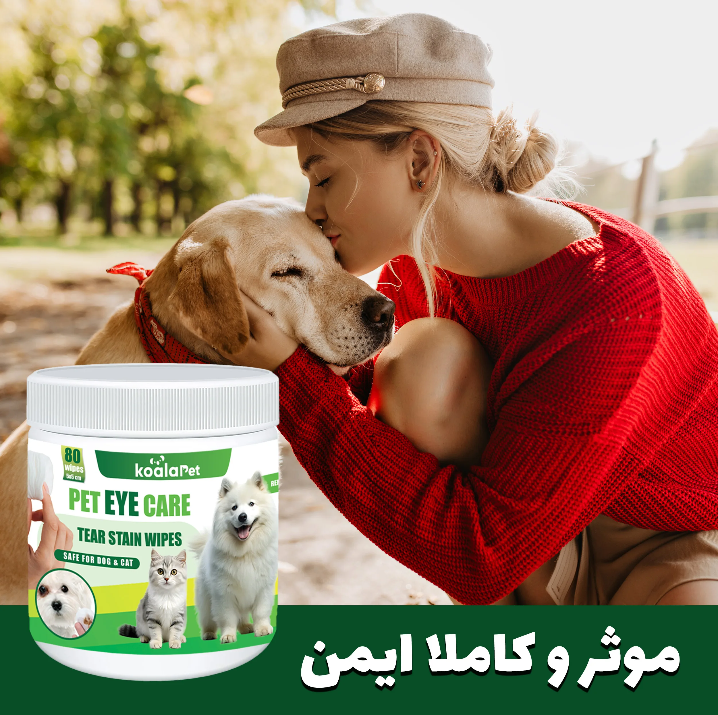 دستمال مرطوب سگ و گربه مخصوص گوش و اطراف چشم کوالاپت مدل  Wipes03 بسته دو عددی