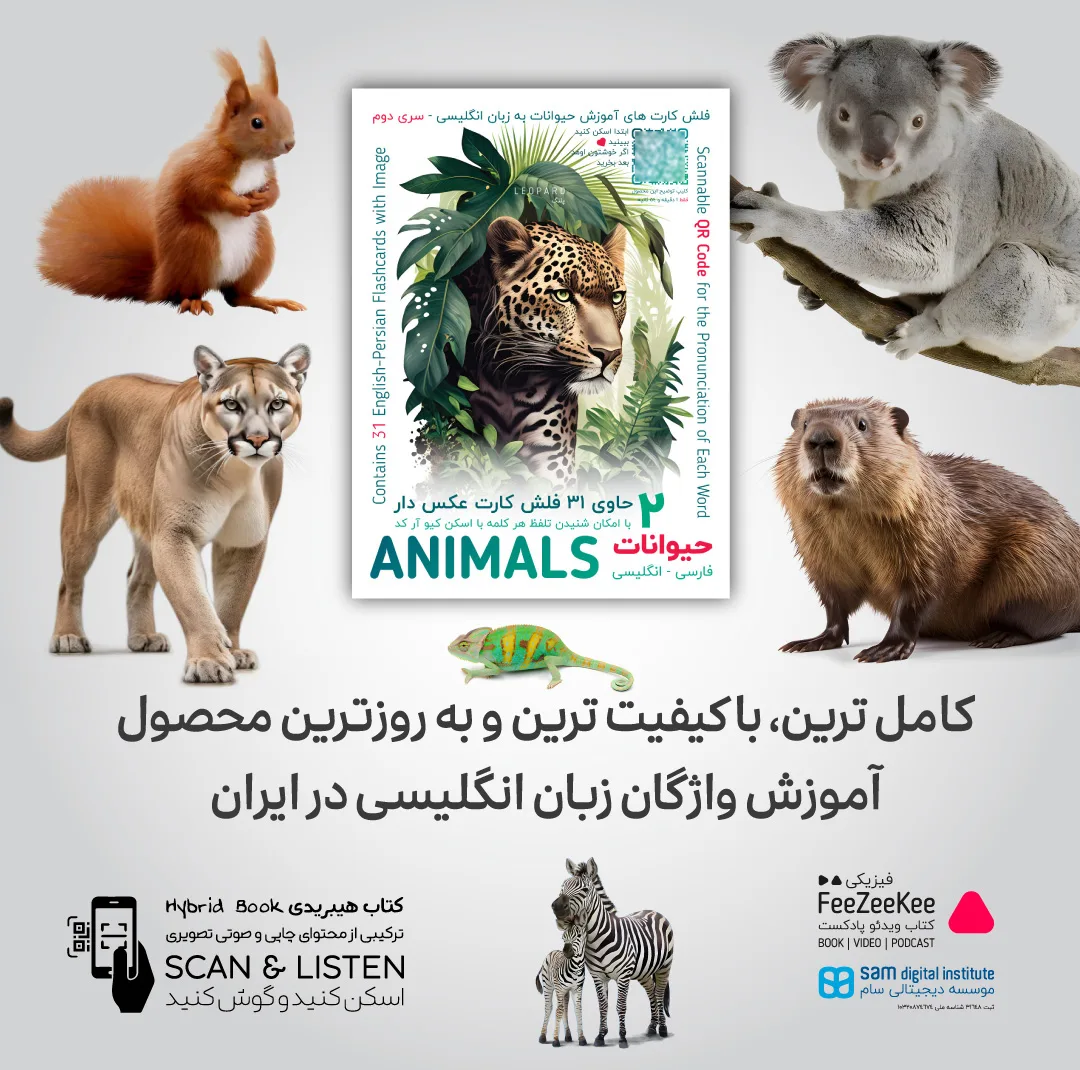 فلش کارت آموزش زبان انگلیسی نشر فیزیکی مجموعه 5 عددی
