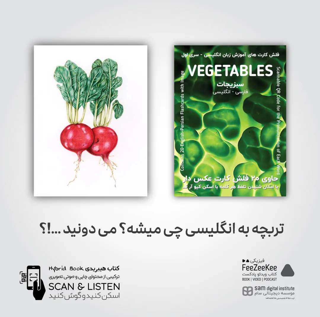 فلش کارت آموزش زبان انگلیسی نشر فیزیکی مجموعه 5 عددی