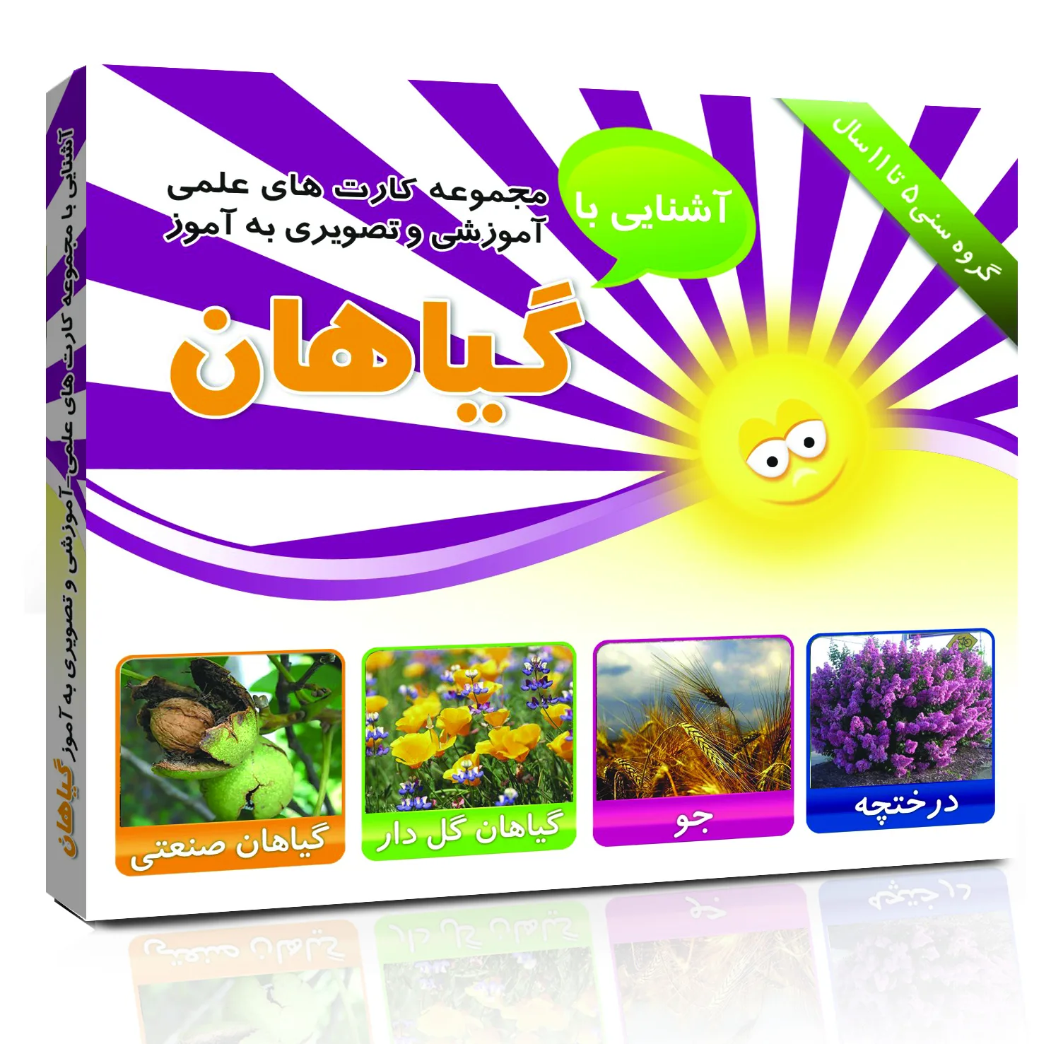 کارت های علمی آموزشی و تصویری مفهومی) 5 تا11 سال انتشارات امین فلش آذر مجموعه 15 عددی