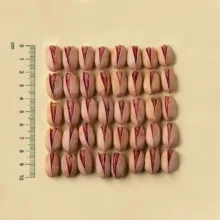 پسته احمدآقایی بوداده درشت پستاکو - 500 گرم