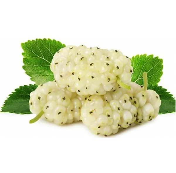 شیره توت سفید سحرانا - 400 گرم