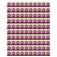 کاپوچینو ونزکافه – 25 گرم بسته 100 عددی