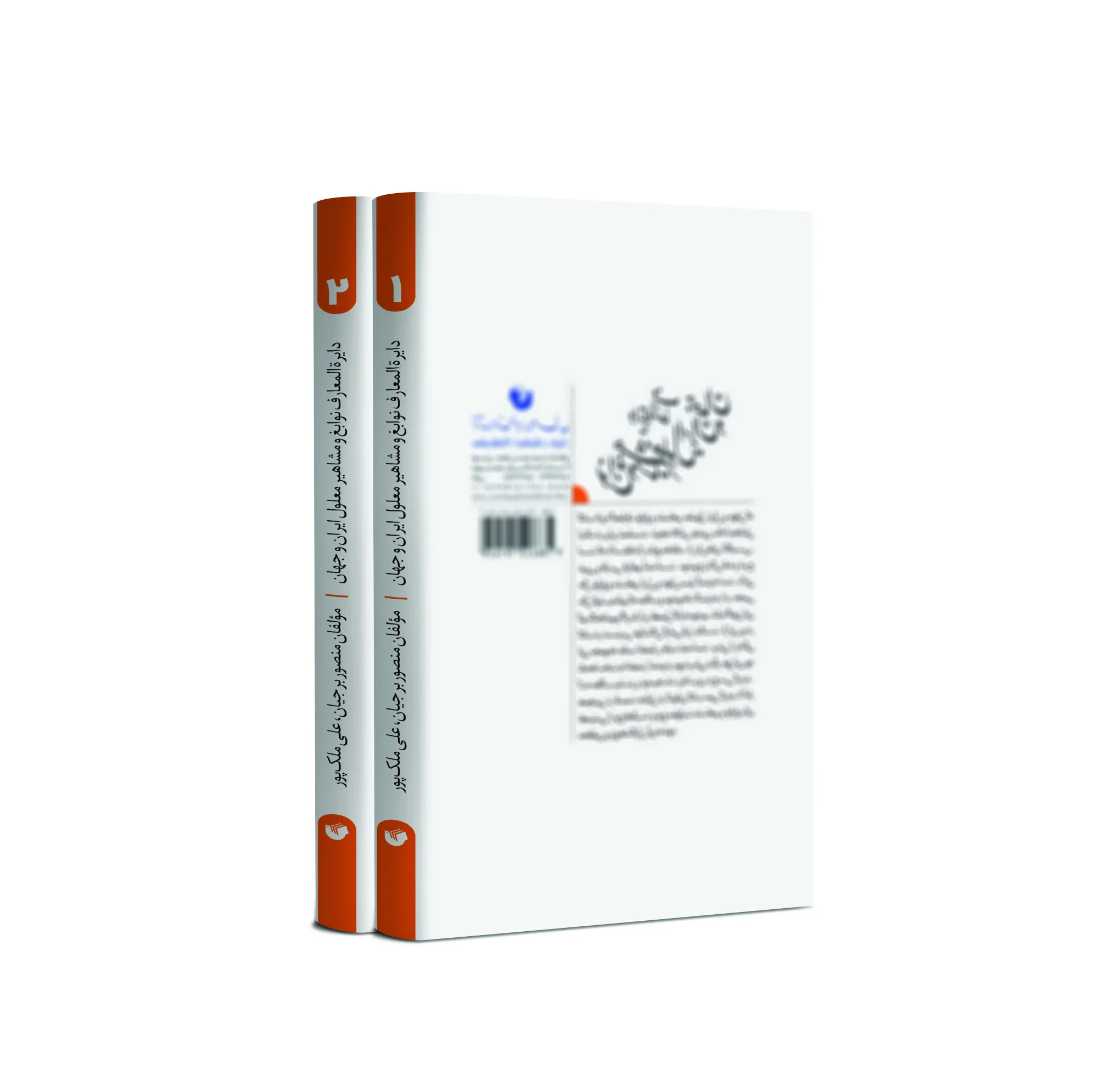 کتاب دایره المعارف نوابغ و مشاهیر معلول ایران و جهان اثر منصور برجیان و علی ملک پور انتشارات سفیر اردهال ۲ جلدی
