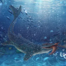 فیگور مدل دایناسور فک متحرک طرح Mosasaurus Hunting for Pterosaur مجموعه 2 عددی