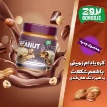 کره بادام زمینی شکلاتی با تکه های فندق بروج - 450 گرم