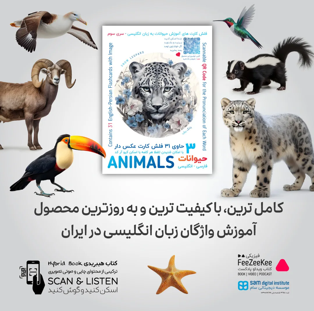 فلش کارت آموزش زبان انگلیسی نشر فیزیکی مجموعه 5 عددی