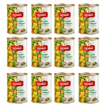 کنسرو مخلوط سبزیجات شهدین – 370 گرم بسته 12 عددی