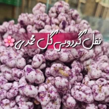 نقل ارومیه گردویی زعفرانی ، گل محمدی ، وانیلی و خلال بیدمشکی بهار - ۱۶۰۰ کیلو گرم مجموعه 4 عددی