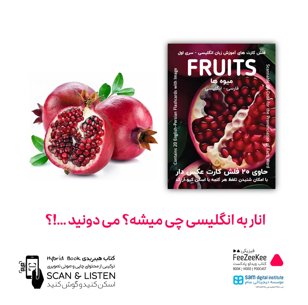 فلش کارت آموزش زبان انگلیسی نشر فیزیکی مجموعه 5 عددی