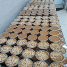 کره بادام زمینی رژیمی ساده مسعود - 500 گرم