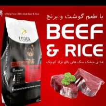غذای خشک سگ لوکا پت پروداکتز مدل Beef وزن 2 کیلوگرم