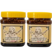 معجون چاقی بوعلی‌سینا – 500 گرم بسته 2 عددی