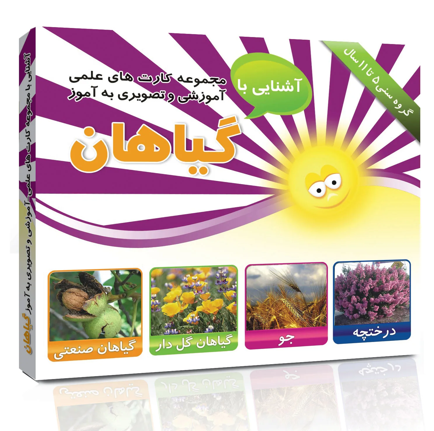 فلش کارت های آموزشی و تصویری دوره ابتدایی انتشارات امین آذر مجموعه 50 عددی