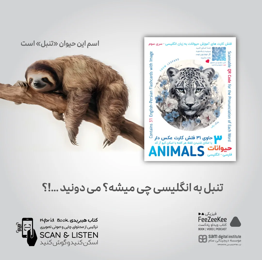 فلش کارت آموزش زبان انگلیسی نشر فیزیکی مجموعه 5 عددی