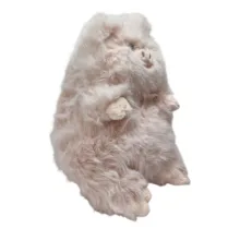 عروسک مدل خوک کیوت ارتفاع 35 سانتی‌متر