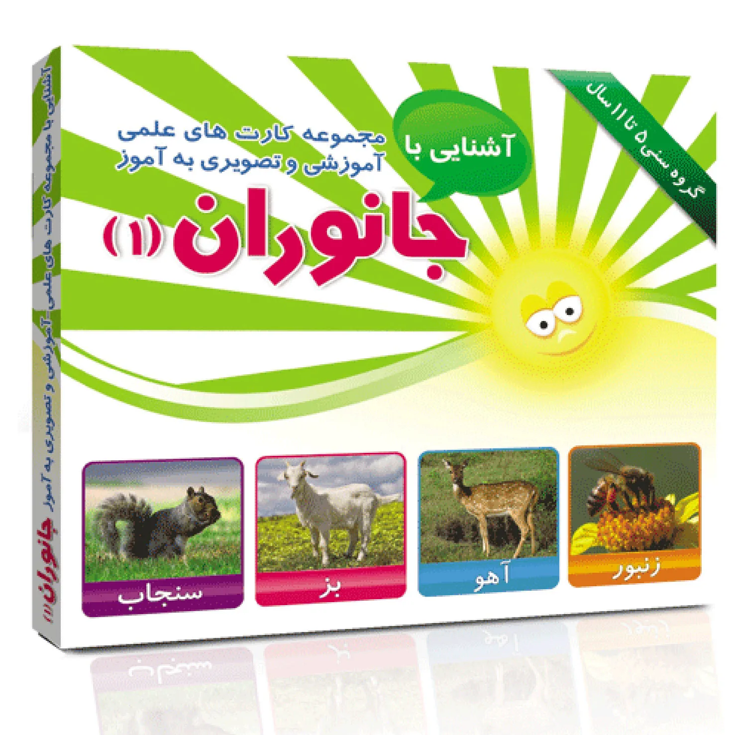 فلش کارت های آموزشی و تصویری دوره ابتدایی انتشارات امین آذر مجموعه 50 عددی