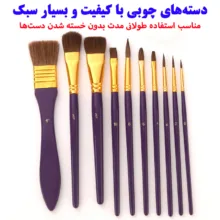 ست قلمو مدل Horse Hair مجموعه 10 عددی