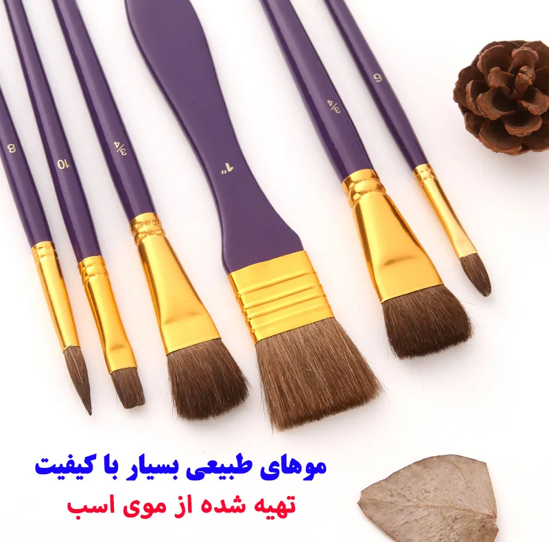 ست قلمو مدل Horse Hair مجموعه 10 عددی