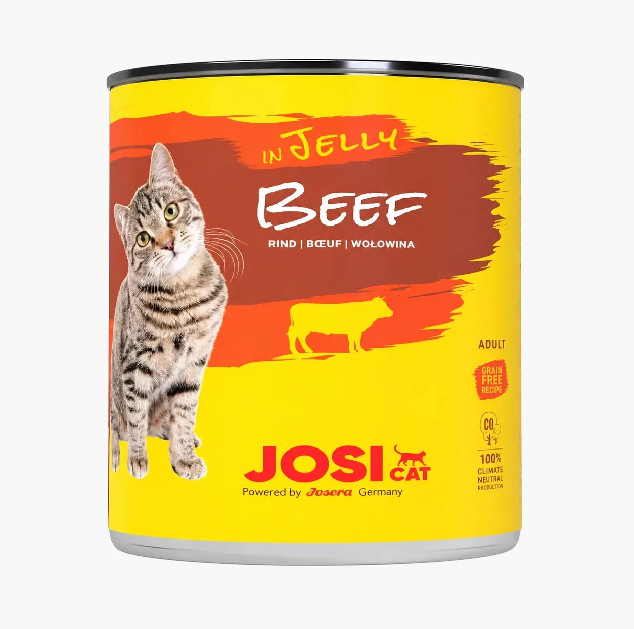 کنسرو غذای گربه بالغ جوسی کت مدل BEEF طعم گوشت گاو وزن 400 گرم