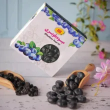 میوه خشک بلوبری 111 - 100 گرم