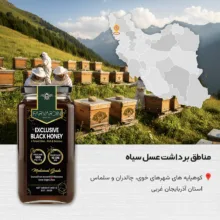 عسل سیاه فروردین - 900 گرم