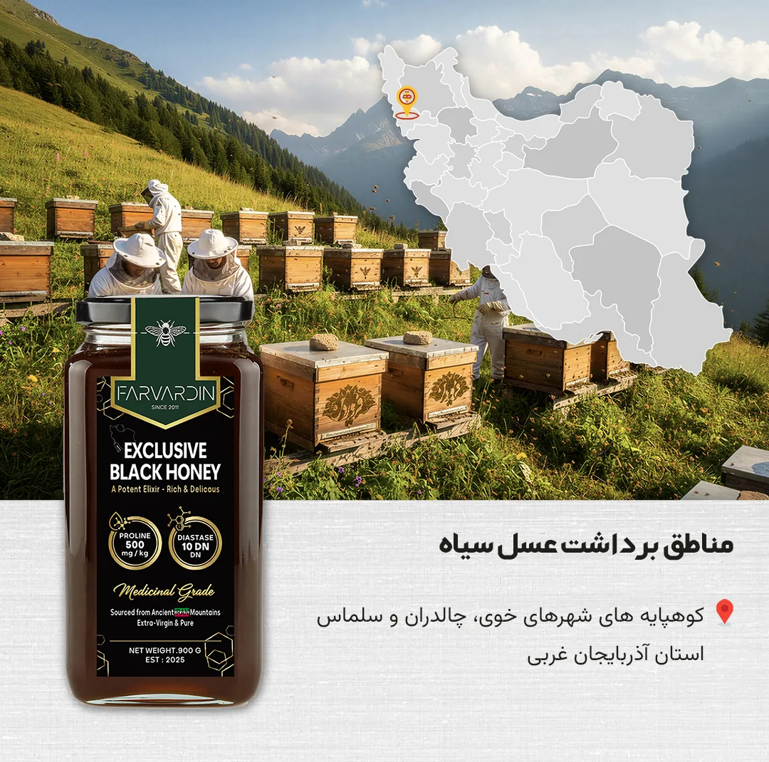 عسل سیاه فروردین - 900 گرم