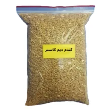 گندم دیم کاسنر – 5 کیلو گرم