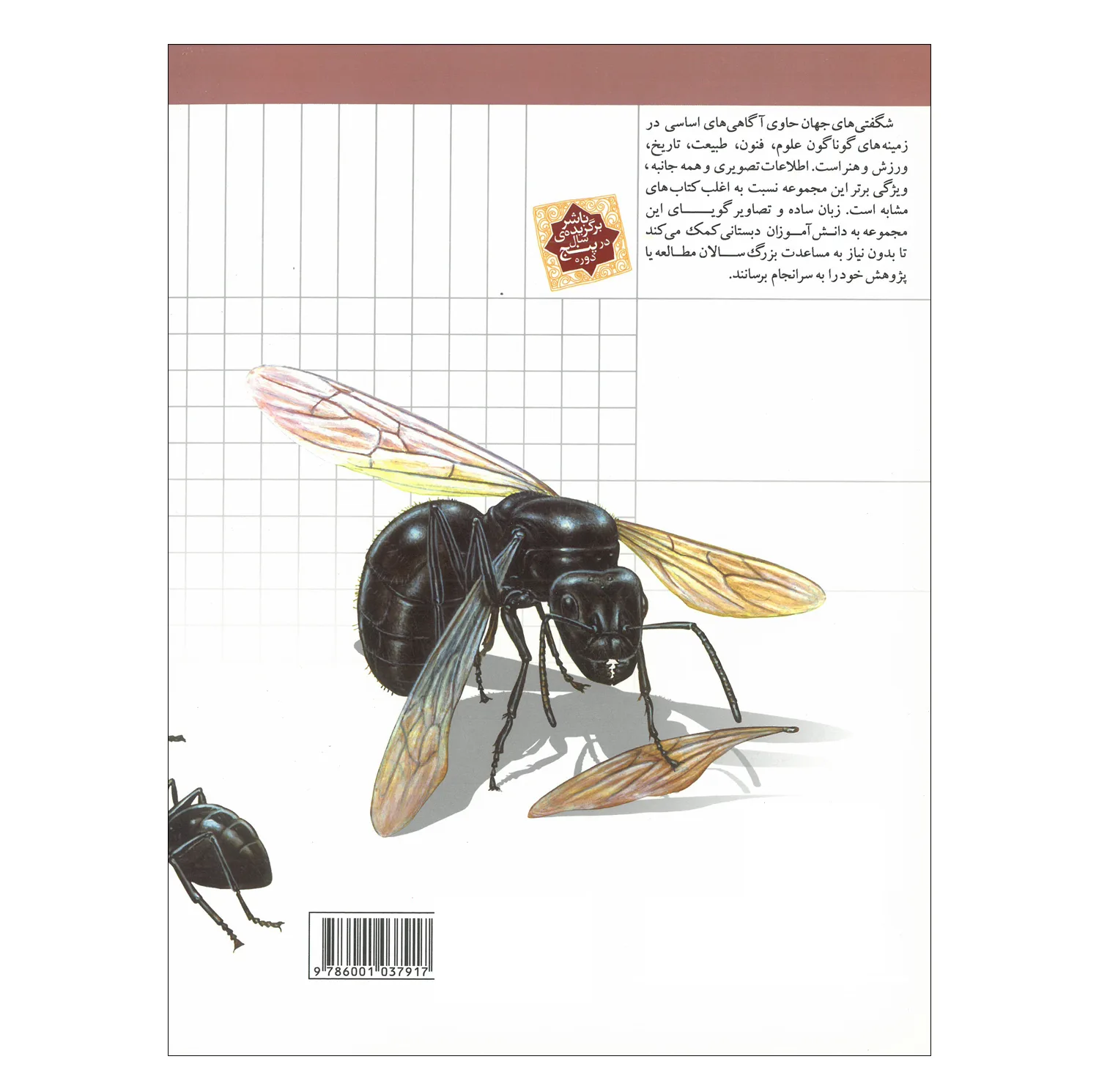 کتاب مجموعه شگفتی های جهان اثر جمعی از نویسندگان نشر محراب قلم 20 جلدی